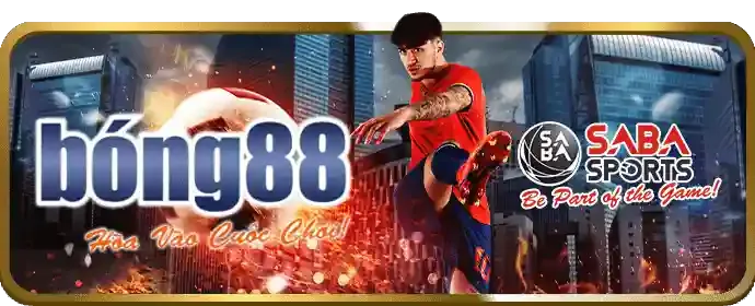 Cá cược thể thao S6666 Chính Thức